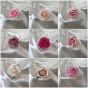 Classic Rose