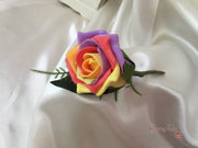 Rainbow Roses